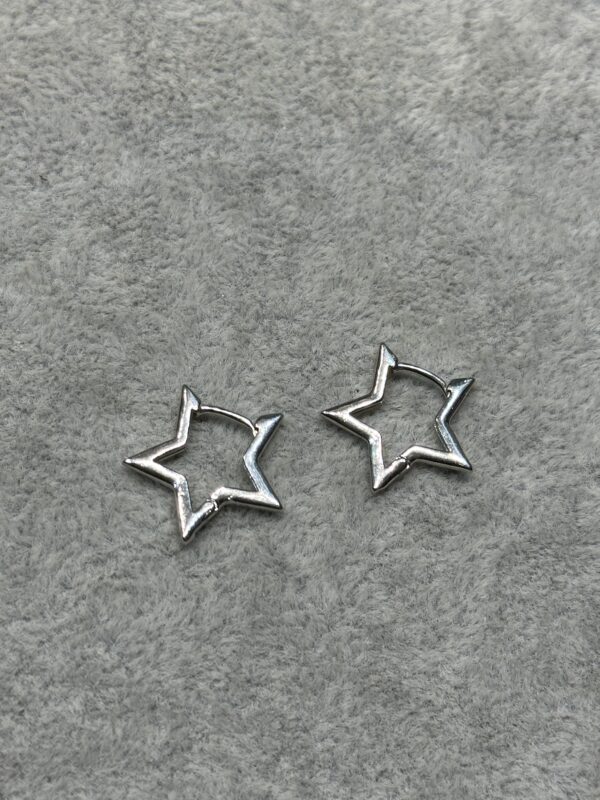 ۲۰۲۴_۱۱_۲۷_۱۹_۰۳_IMG_5445 پیرسینگ گوش ستاره ای 1 - تصویر 1