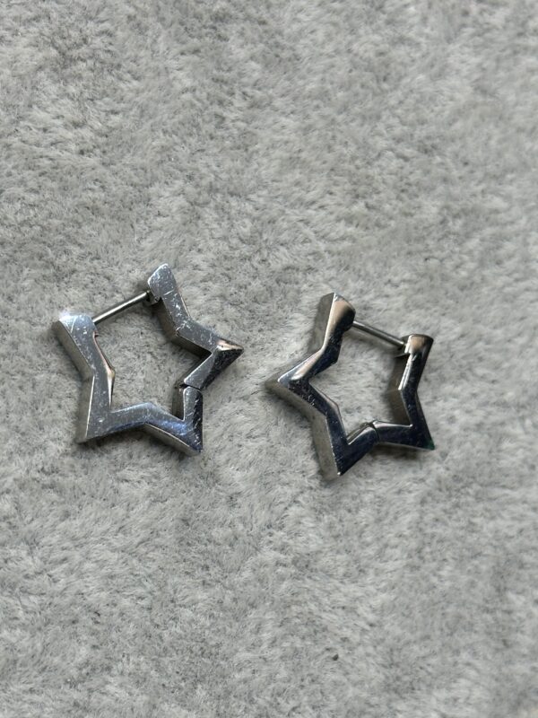 ۲۰۲۴_۱۱_۲۷_۱۹_۰۸_IMG_5447 پیرسینگ گوش ستاره ای 2 - تصویر 1