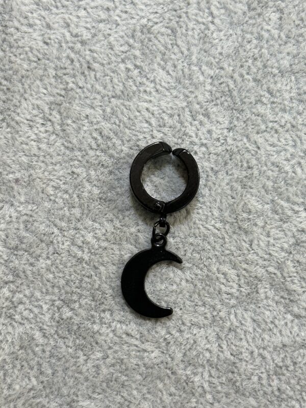 ۲۰۲۴_۱۱_۲۹_۱۵_۱۹_IMG_5520 پیرسینگ آویزدار ماه - تصویر 1