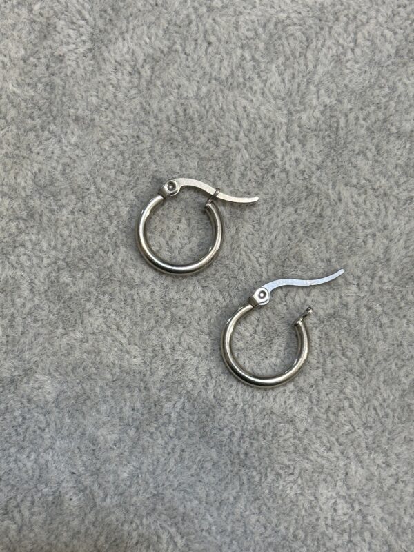 ۲۰۲۴_۱۱_۲۹_۱۵_۲۶_IMG_5528 پیرسینگ حلقه ای - تصویر 1