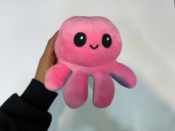 photo_2025-01-08_14-00-13.jpg عروسک مودی - تصویر 1