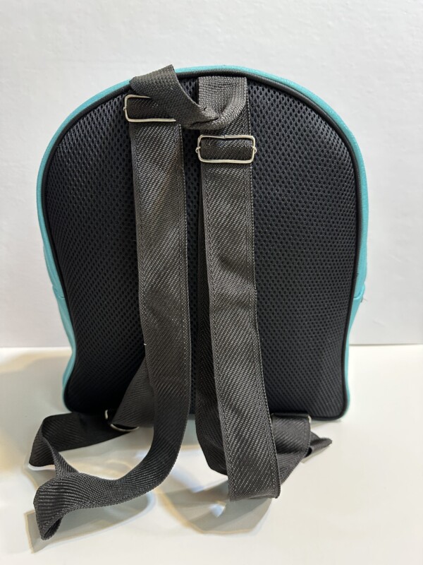 ۲۰۲۴_۱۲_۰۳_۰۰_۱۶_IMG_5625-scaled-1.jpg کوله استیج - تصویر 4