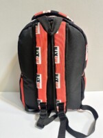 کوله بلک پینک5 - تصویر 3