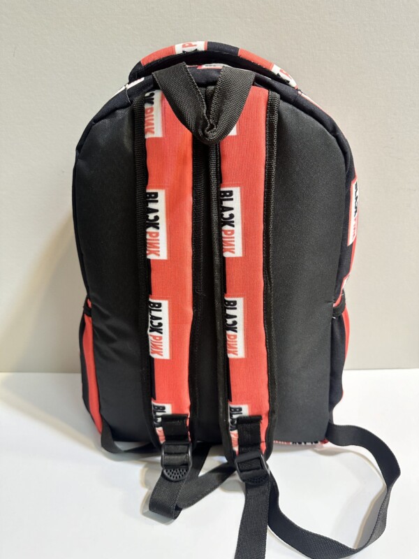 ۲۰۲۴_۱۲_۰۴_۰۱_۰۹_IMG_5211-scaled-1.jpg کوله بلک پینک5 - تصویر 3