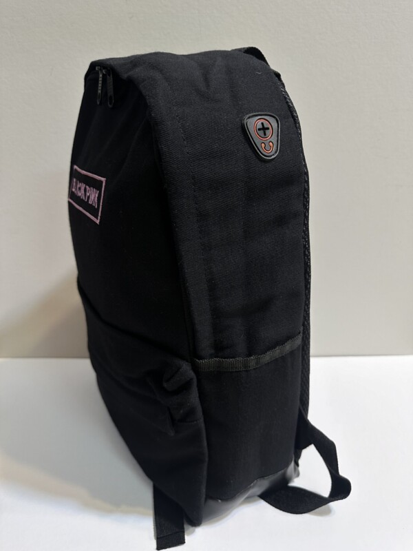 ۲۰۲۴_۱۲_۰۴_۰۱_۱۶_IMG_5225-scaled-1.jpg کوله بلک پینک5 - تصویر 2