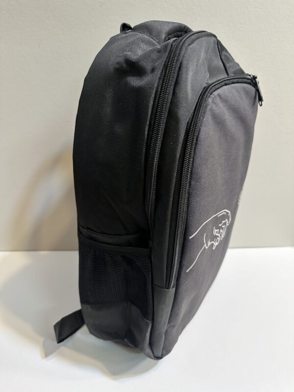 ۲۰۲۴_۱۲_۰۴_۰۱_۱۹_IMG_5232-scaled-1.jpg کوله نقاشی داوینچی - تصویر 2