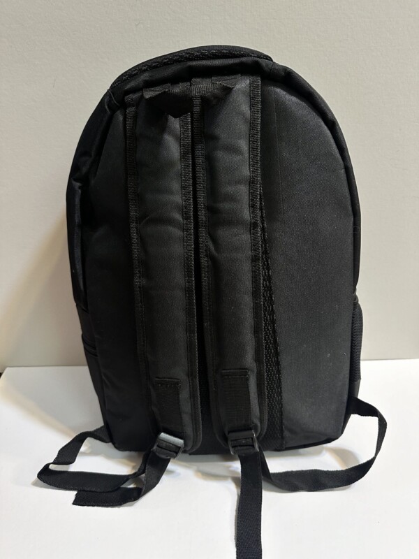 ۲۰۲۴_۱۲_۰۴_۰۱_۱۹_IMG_5233-scaled-1.jpg کوله نقاشی داوینچی - تصویر 3