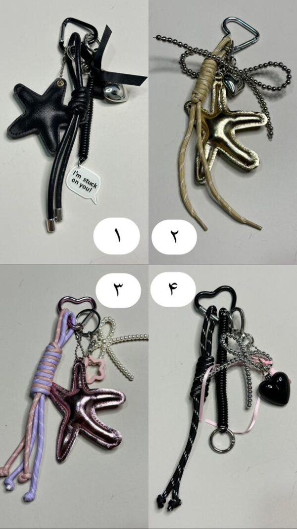 چارم بگ 1 - تصویر 1